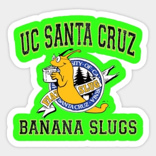 Santa Cruz Mascot Logo Sticker